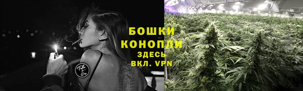 спайс Дмитриев