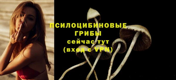 молекула духа Дмитровск