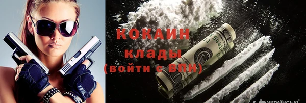 ПСИЛОЦИБИНОВЫЕ ГРИБЫ Елизово