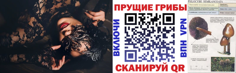 Псилоцибиновые грибы прущие грибы  Ирбит 
