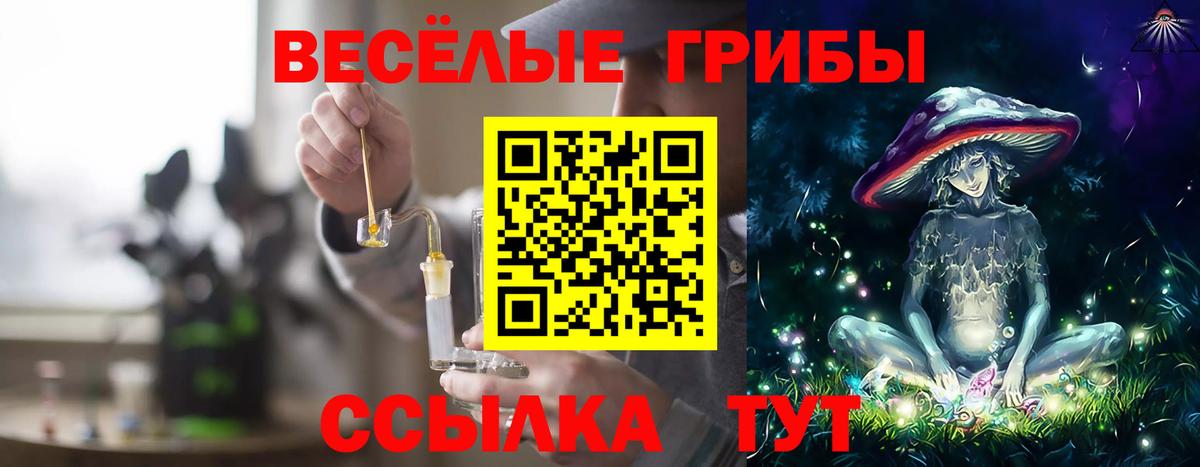 Ирбит  Псилоцибиновые грибы Psilocybe  Вход с VPN 