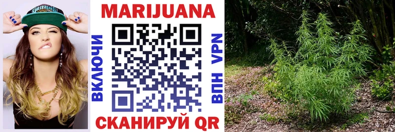где купить наркоту  Ирбит  Каннабис план 